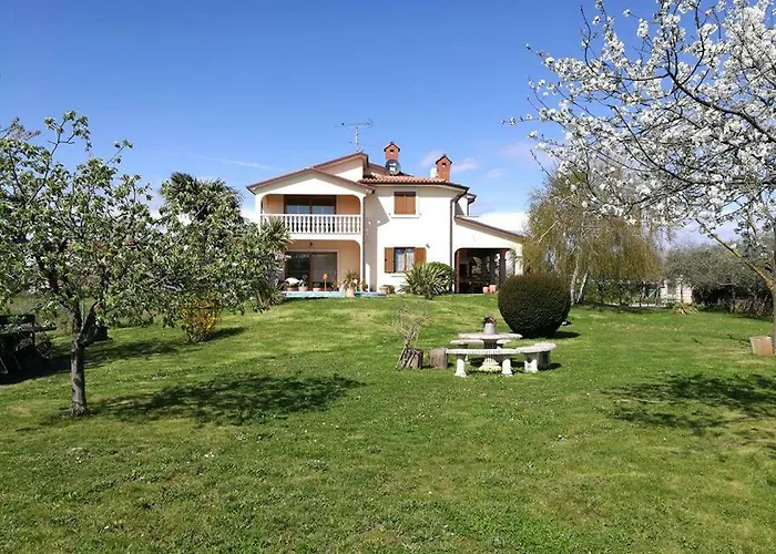 Jana Daire Umag